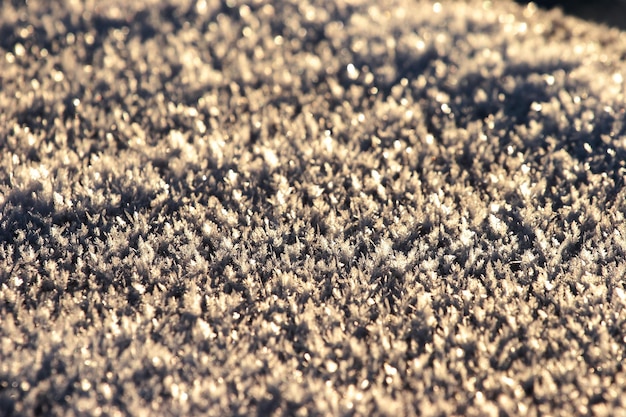 full-frame-shot-plants_1621551-1026